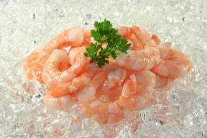 Cocktailshrimps