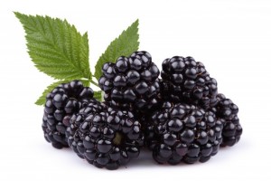 Brombeeren