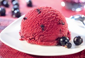 Sorbet Schwarze Johannisbeere VEGAN