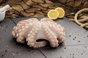 Octopus im Ganzen