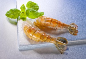 Süsswasser Garnele U5